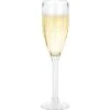Berger Plastic Champagne Glasses Set Of 2