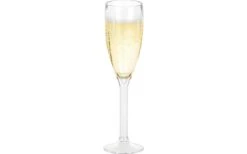 Berger Plastic Champagne Glasses Set Of 2