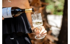 Berger Wine Glass Set Of 2 6 Berger Wine Glass Set Of 2 -Berger Shop 594239 4331207