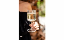 Berger Wine Glass Set Of 2 7 Berger Wine Glass Set Of 2 -Berger Shop 690069 4697631