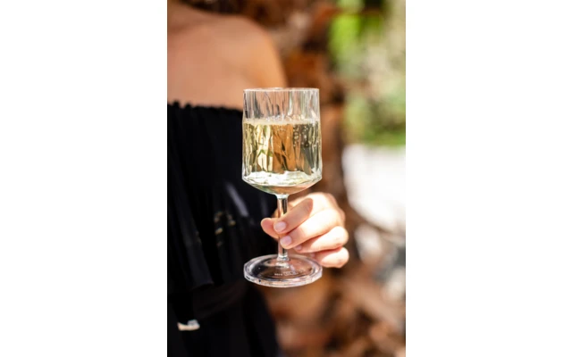 Berger Wine Glass Set Of 2 4 Berger Wine Glass Set Of 2 - Image 4